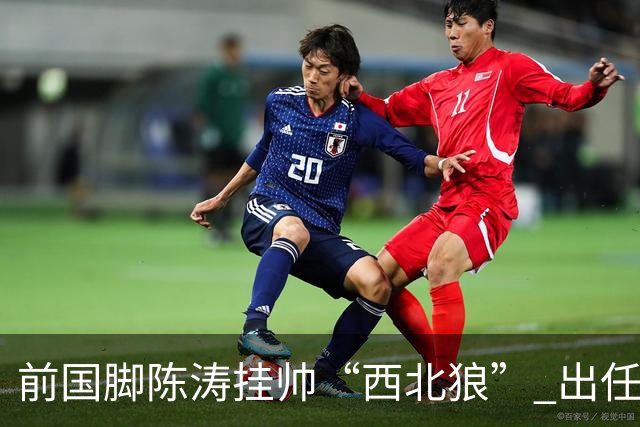前国脚陈涛挂帅“西北狼” 出任陕西联合一线队主教练